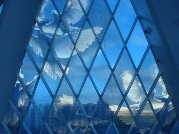 Айгуль Кашаева