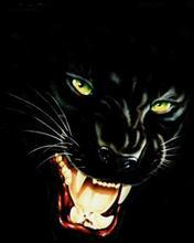 Алексей Кортиков