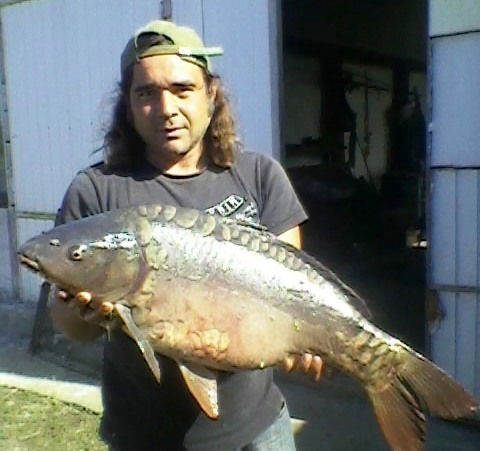 Енчи Гренцнер