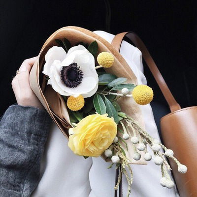 Маскин Роббинс