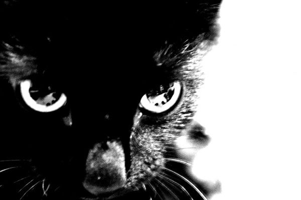 Ольга Пенкина