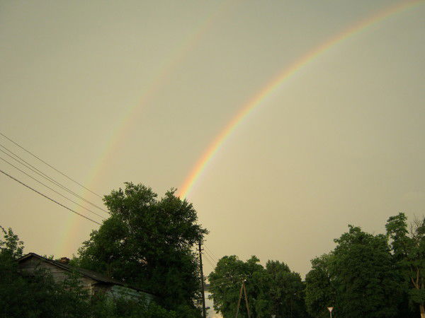 Нина Абитова