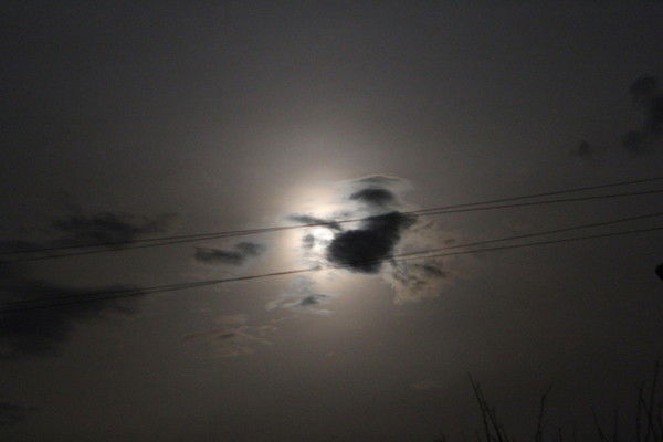 Андрей Сергеев