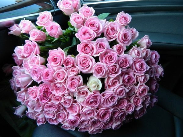 Алтынай Сейткамал