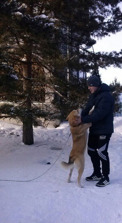 Стас Щепковский