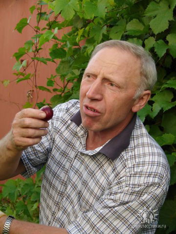 Иван Силаев