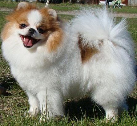 Валерия Горбунова