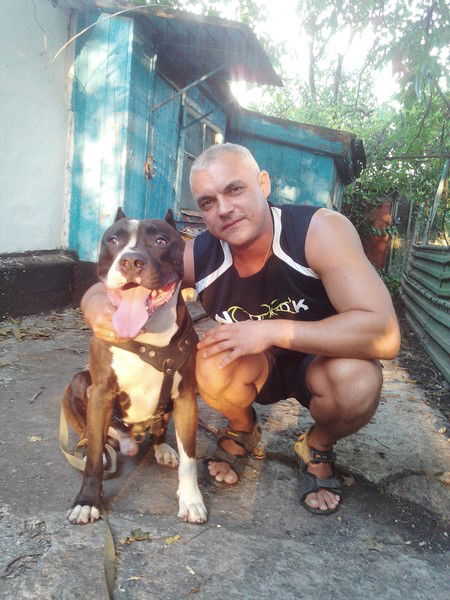 Андрей Решетняк