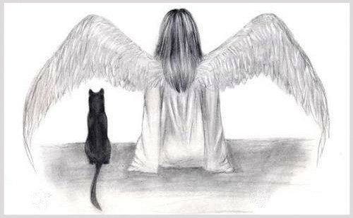 Вероника Романова