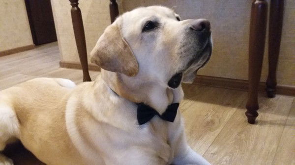 Наталия Немова