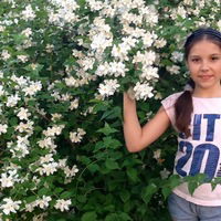 Ирина Артемьева