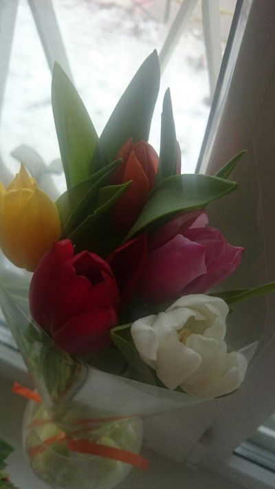 Юлия Берестнева