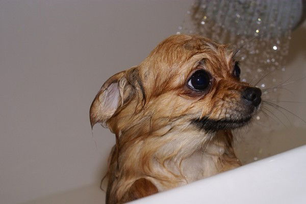 Настя Мичурина