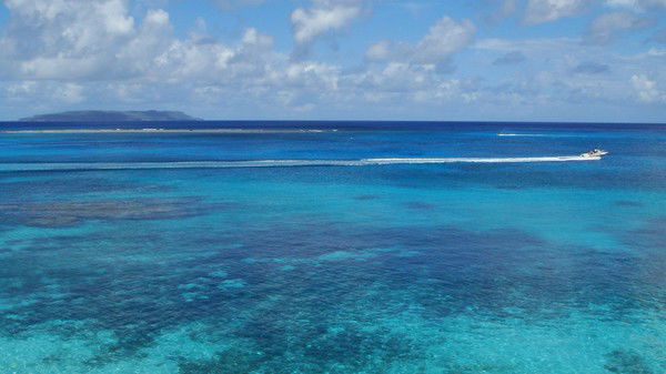 Галина Мошенская