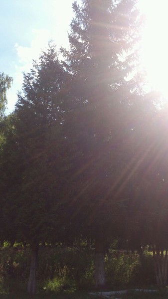 Анастасия Холодочек))