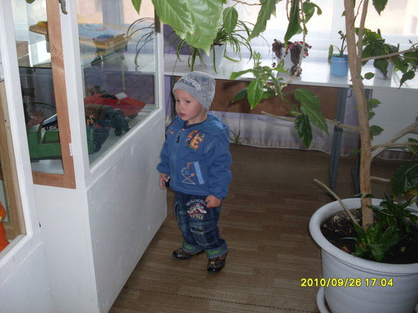 Анатолий Шмаков