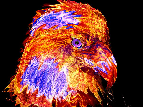 Андрей Журавлев