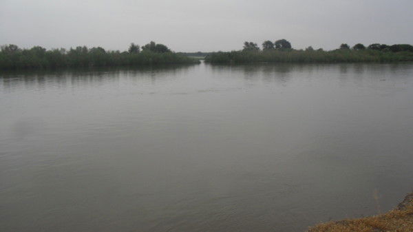 Валентина Бусангалиева