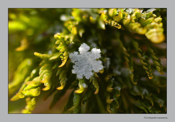 Наталья Тимошенкова