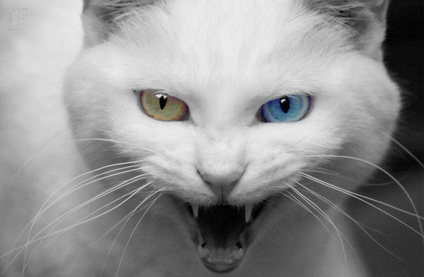 Евгений Филонов