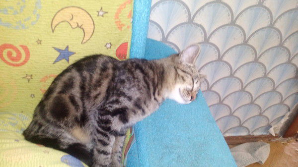 Гузель Давлетшина