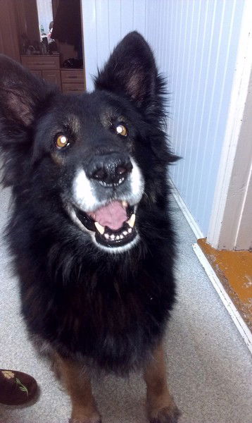 Сергей Пискарёв