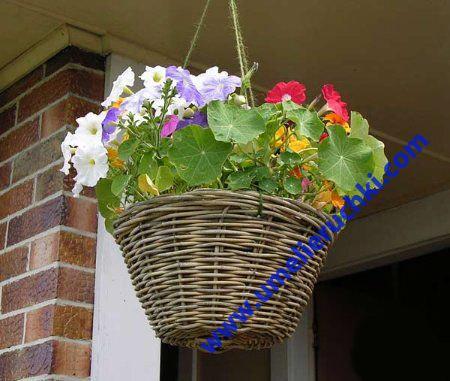 Лилия Зибирова