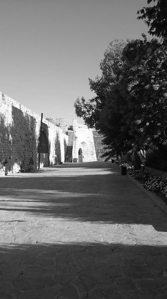 Александр Денисов