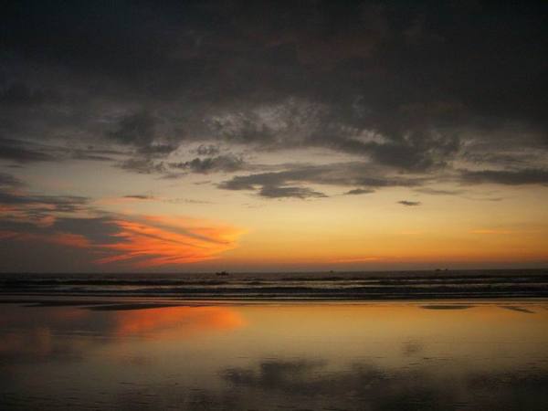 Владимир Васильев