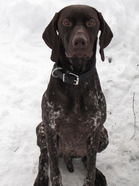 Ковалёв Игорь