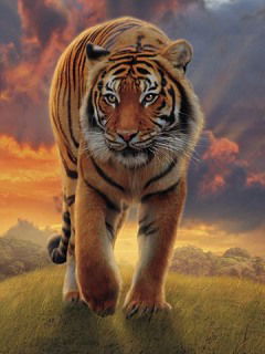 Казбек Куралбек