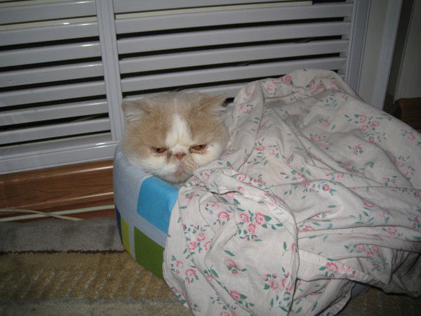 Сергей Симанков