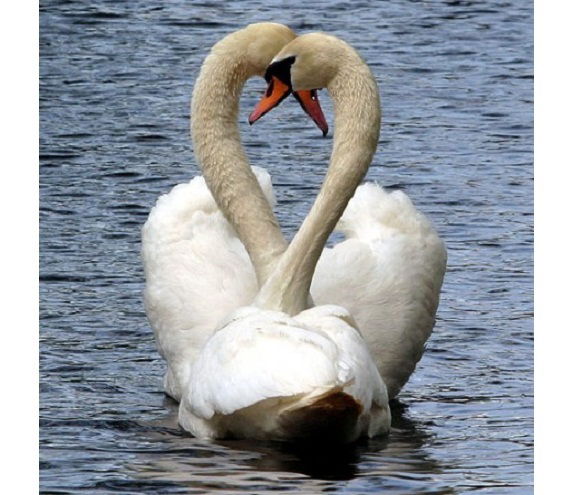 Валентина Савина