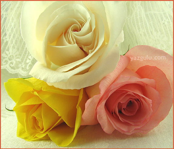 Шырын Даулетова