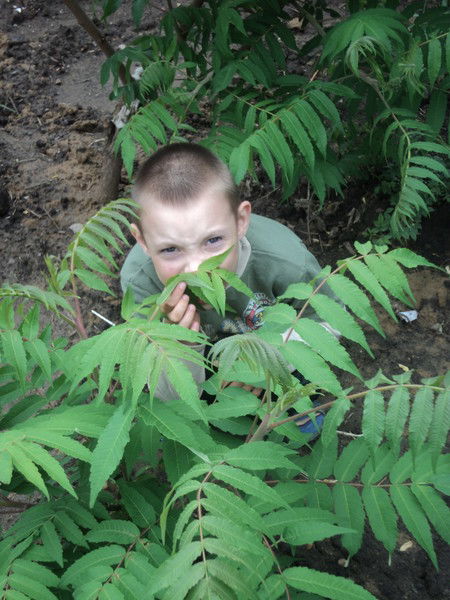 Елена Волобуева