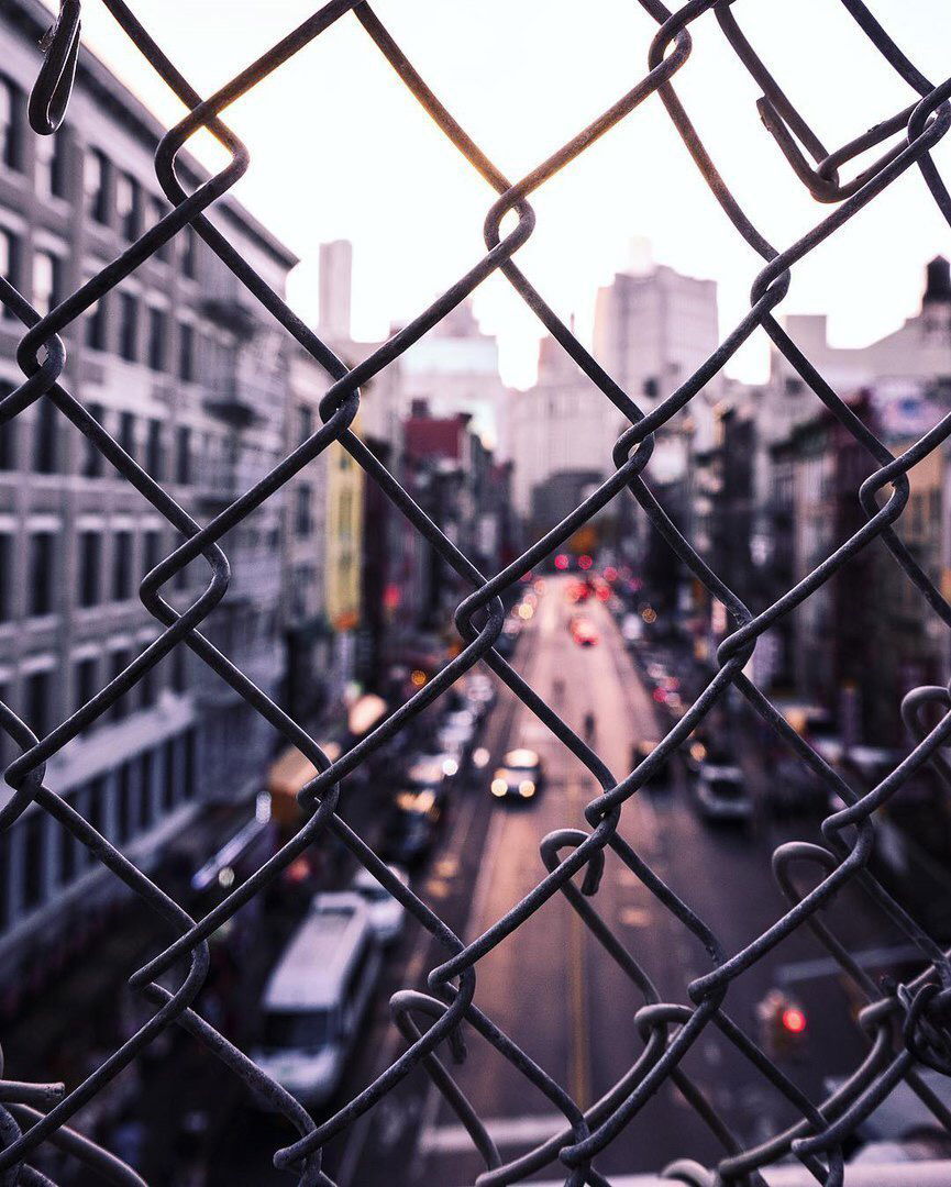 Анна Пескова