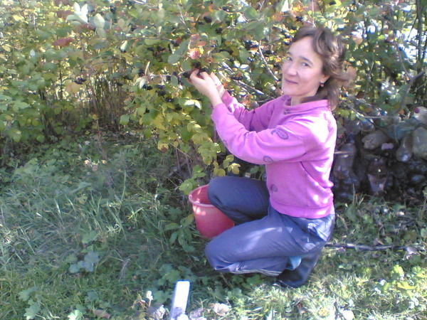 Галина Субботина