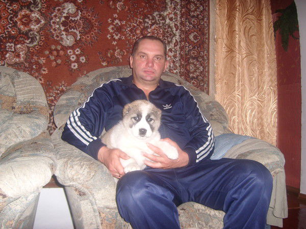 Василий Городов