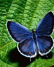 Ольга Хорькова