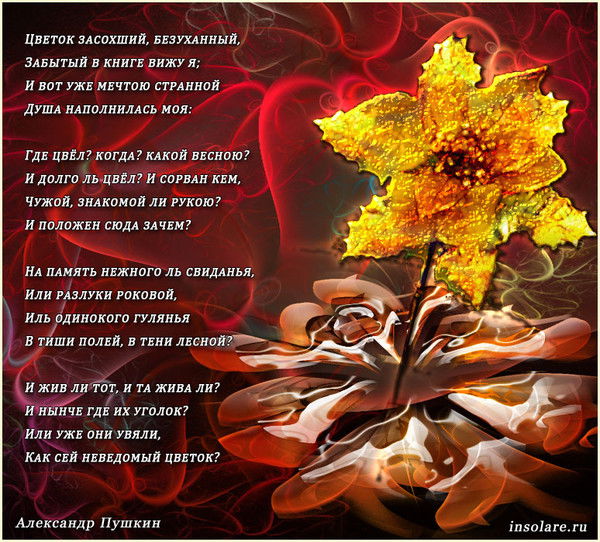 Алена Паршонок