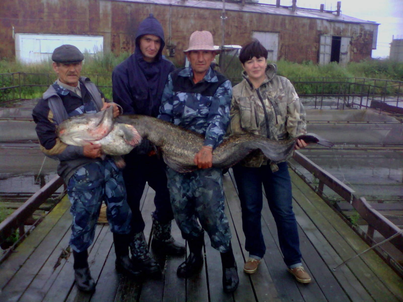 Пётр Лобанов