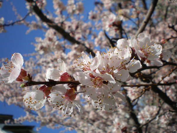 Гульзат Ашималиева