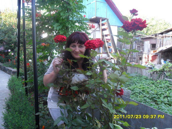 Людмила Цыганенко