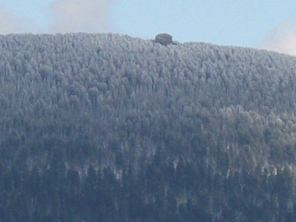 Алексей Гончаренко