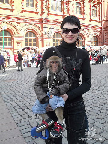 Юлия Снеткова