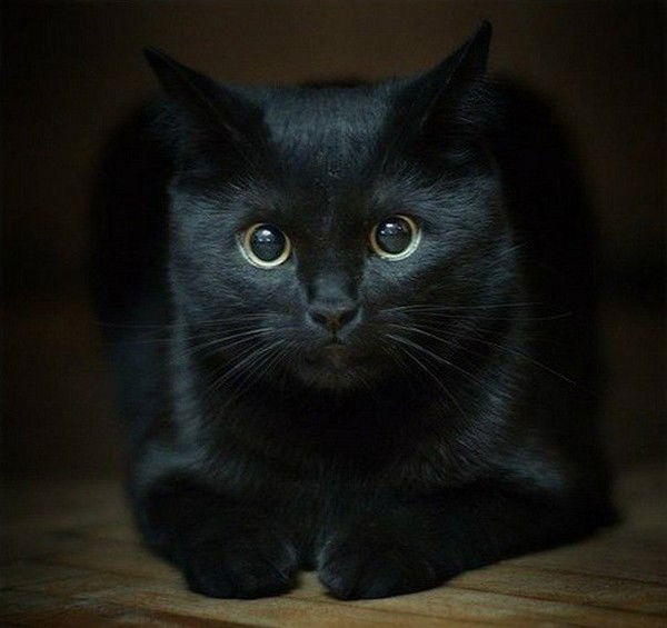 Анна Маськина