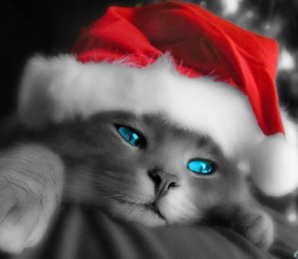 Люба Толстова