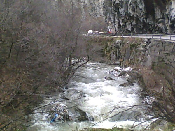 Лариса Сергийчук