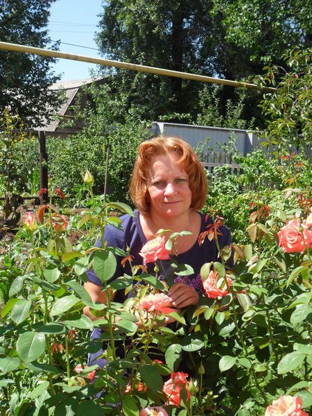 Алла Ивасюк