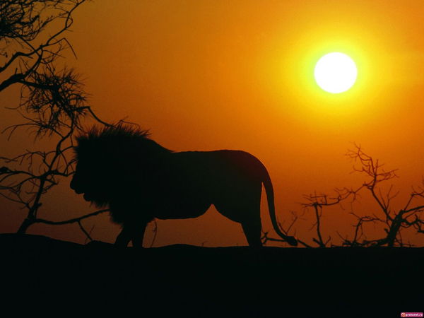 Александр Таранов